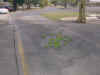 010902f.jpg (308606 bytes)