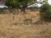 011018m.jpg (516379 bytes)
