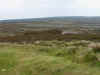 020603e.jpg (494260 bytes)