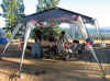 030704_img_0110.jpg (168398 bytes)