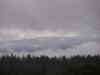 050103_p1030843.jpg (61668 bytes)